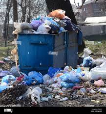 Professional Junk Removal Services in Meggett, SC